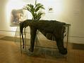 berlin elephant 010